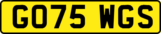 GO75WGS