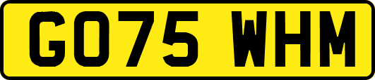 GO75WHM