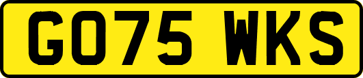 GO75WKS