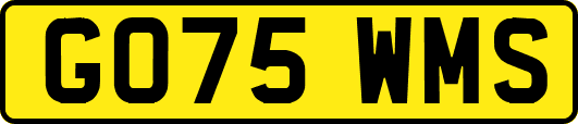 GO75WMS