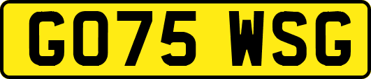 GO75WSG