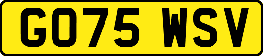 GO75WSV