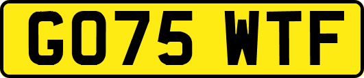 GO75WTF