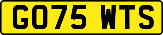 GO75WTS