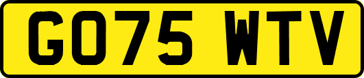 GO75WTV