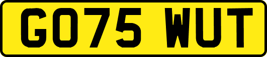 GO75WUT