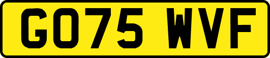 GO75WVF