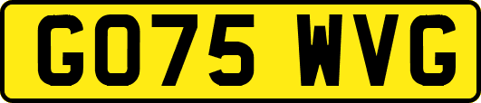 GO75WVG