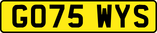GO75WYS