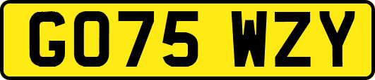 GO75WZY