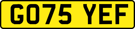 GO75YEF
