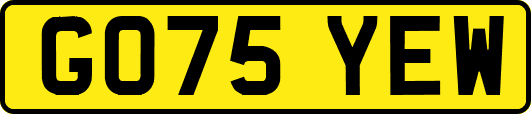 GO75YEW
