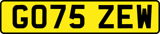 GO75ZEW