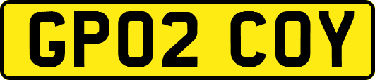 GP02COY