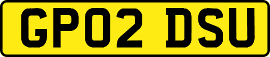 GP02DSU