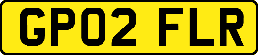 GP02FLR