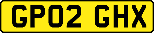 GP02GHX