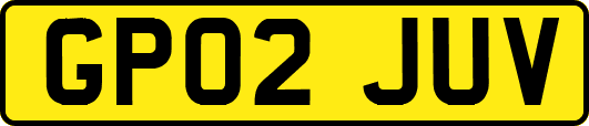 GP02JUV
