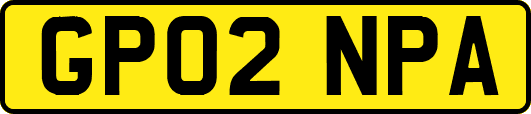 GP02NPA