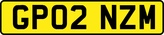 GP02NZM
