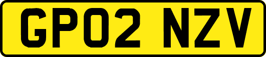 GP02NZV