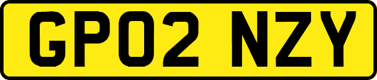 GP02NZY