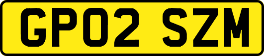GP02SZM