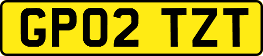 GP02TZT