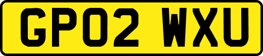 GP02WXU