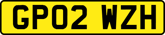 GP02WZH