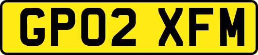 GP02XFM