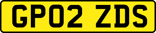 GP02ZDS