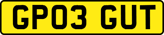GP03GUT