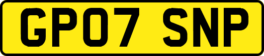 GP07SNP