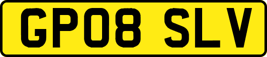GP08SLV