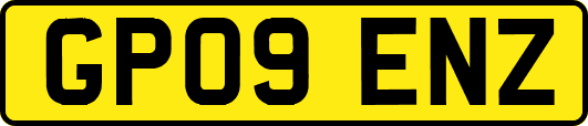 GP09ENZ