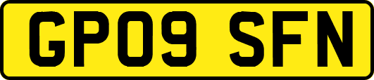 GP09SFN