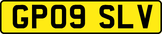 GP09SLV