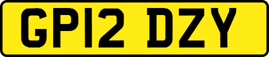 GP12DZY