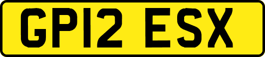 GP12ESX