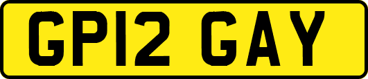 GP12GAY