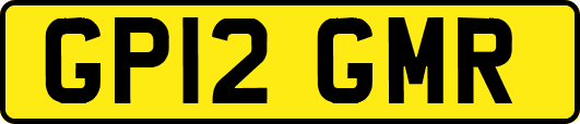 GP12GMR