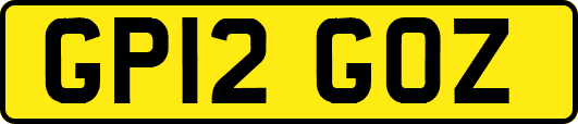 GP12GOZ