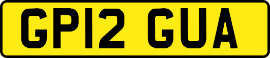 GP12GUA