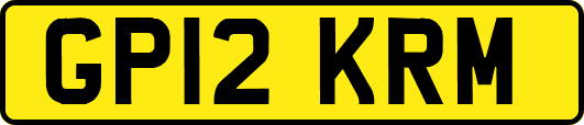 GP12KRM