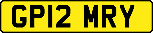 GP12MRY