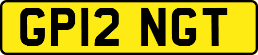GP12NGT