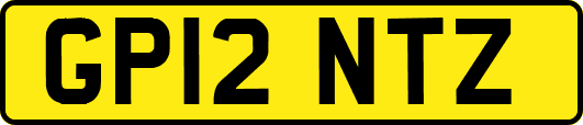 GP12NTZ