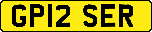 GP12SER