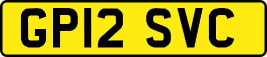 GP12SVC